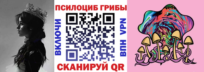 Псилоцибиновые грибы мицелий  Купить  Междуреченск 