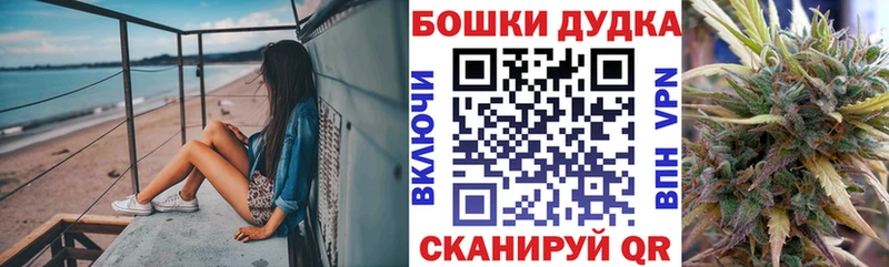 Бошки Шишки ГИДРОПОН  Купить  Междуреченск 